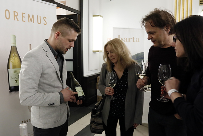 furmint_februar_190208_vcs_03.jpg furmint_februar_190208_vcs_03.jpg