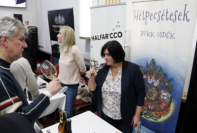 furmint_februar_190208_vcs_04.jpg furmint_februar_190208_vcs_04.jpg