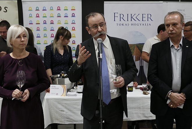 furmint_februar_190208_vcs_12.jpg furmint_februar_190208_vcs_12.jpg