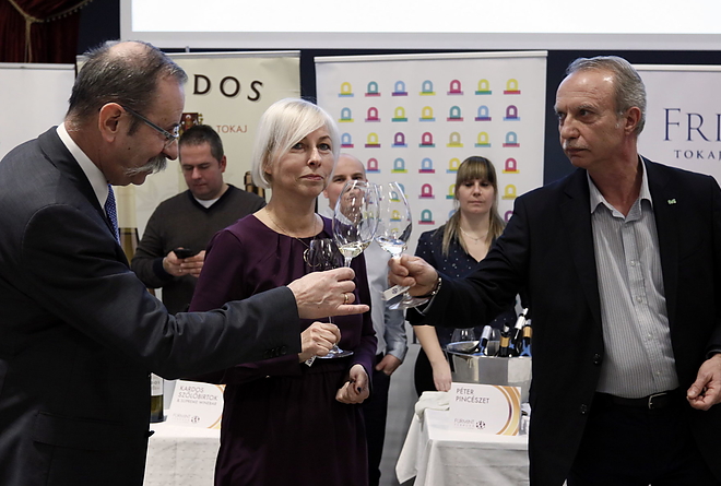furmint_februar_190208_vcs_16.jpg furmint_februar_190208_vcs_16.jpg