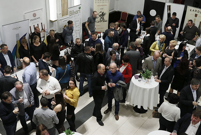 furmint_februar_190208_vcs_23.jpg furmint_februar_190208_vcs_23.jpg