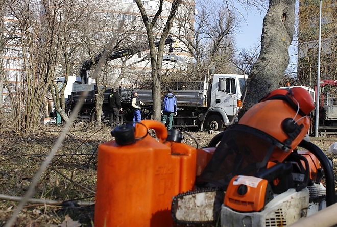 gallyazas_selyemret_pr_20190227_6.jpg