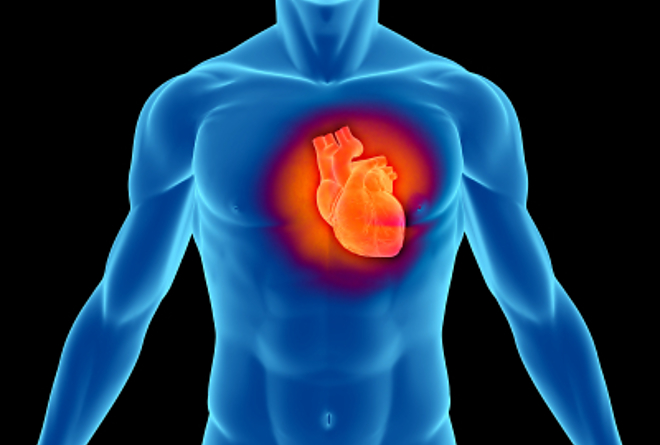 heart.jpg