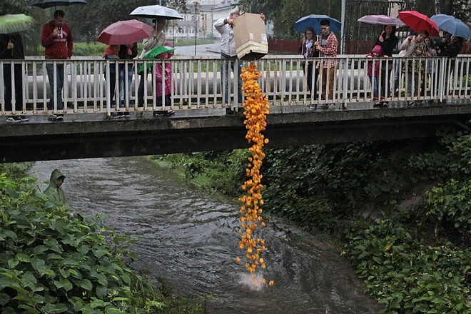 kacsanap_140913_ja_1.jpg kacsanap_140913_ja_1.jpg