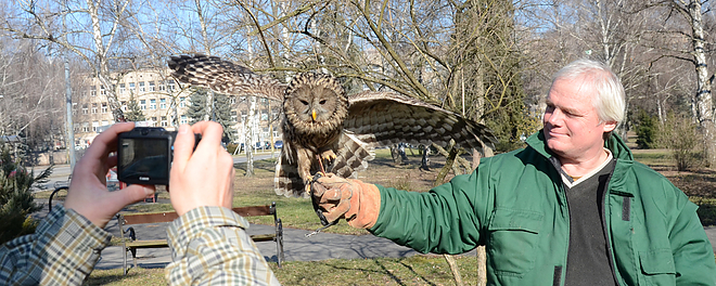 bagolyles_150214_fkcs_1200x480xx.jpg bagolyles_150214_fkcs_1200x480xx.jpg