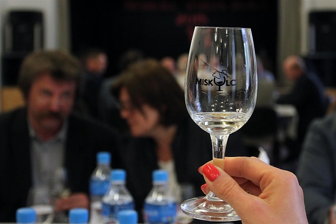 miskolc_varos_bora_150425_ja_19.jpg