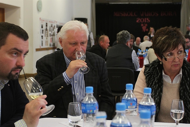 miskolc_varos_bora_150425_ja_29.jpg