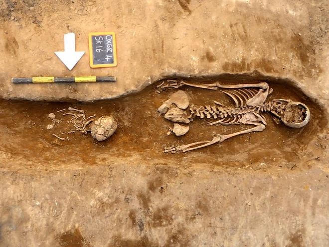 apaca5.jpg apaca5.jpg