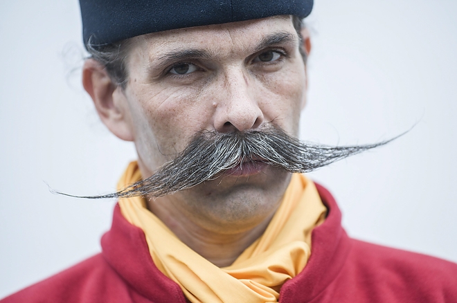 bajusz3.jpg