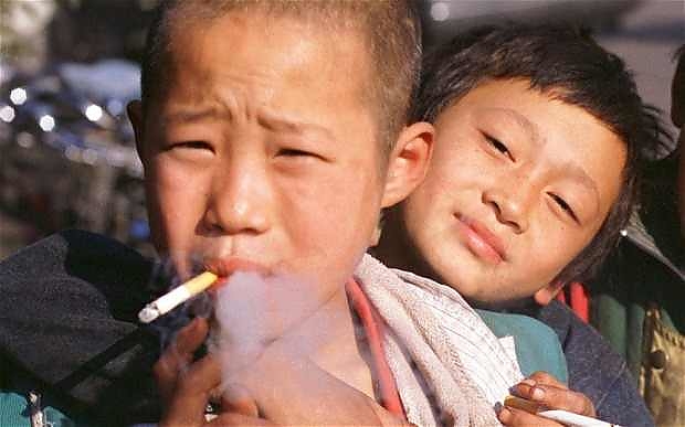 cigs_2805639b.jpg cigs_2805639b.jpg