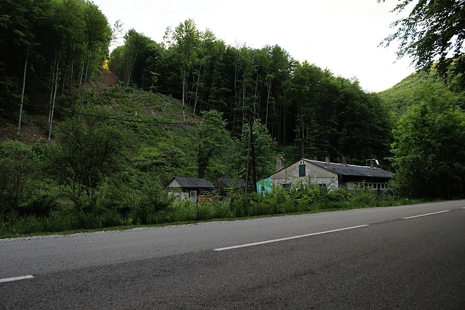 img_8397.jpg img_8397.jpg