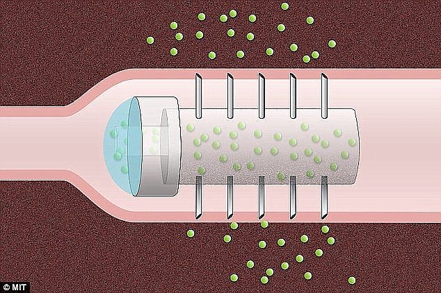 pin_pill2.jpg