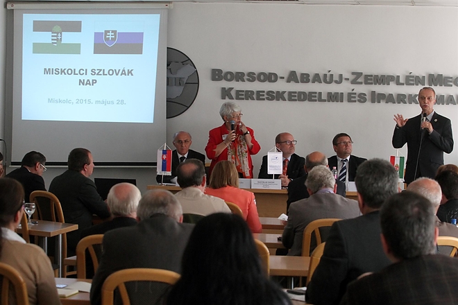 szlovak_nap_bokik_150528_ja_13.jpg