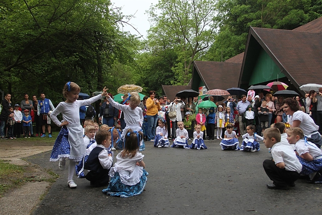 zsongo_lillafured_150523_ja_21.jpg zsongo_lillafured_150523_ja_21.jpg