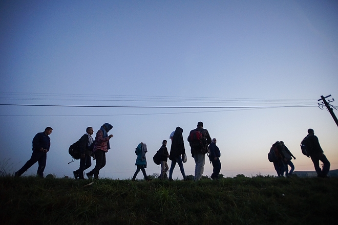 bicske_migrt.jpg
