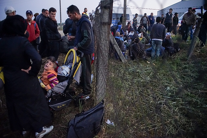 bicske_migrt2.jpg