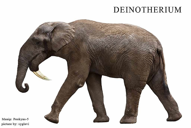 deinotherium_manip_by_pookyns_5-d5cjtci.jpg