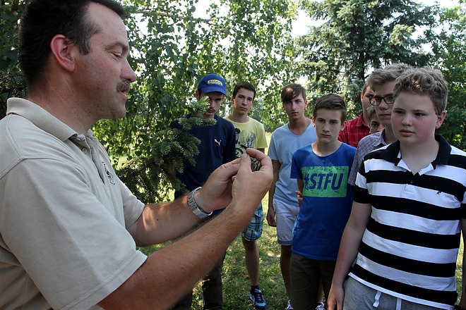 fecske_miviz_150610_ja_5.jpg