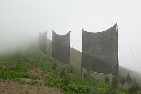 fog_q2.jpg fog_q2.jpg