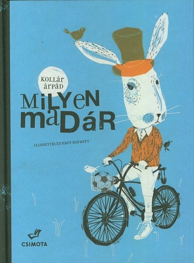 konyv2.jpg