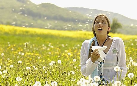 pollen_allergia_ill.jpg