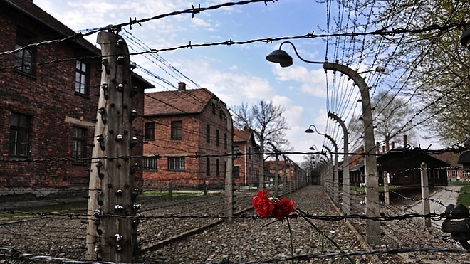 auschwitz_img_1.jpg