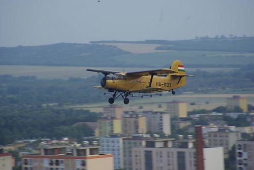 szunyogirtas_vasarnap.jpg szunyogirtas_vasarnap.jpg