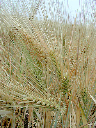 agrar.jpg agrar.jpg
