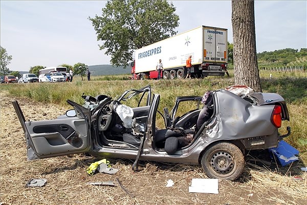 dead_crash_sp_37.jpg