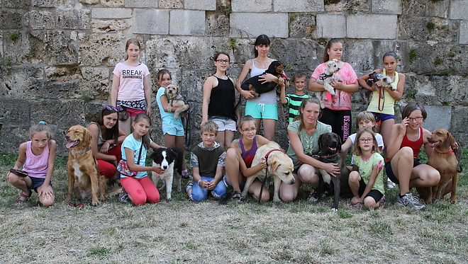 kutyas_napkozi_150717ml_18.jpg kutyas_napkozi_150717ml_18.jpg
