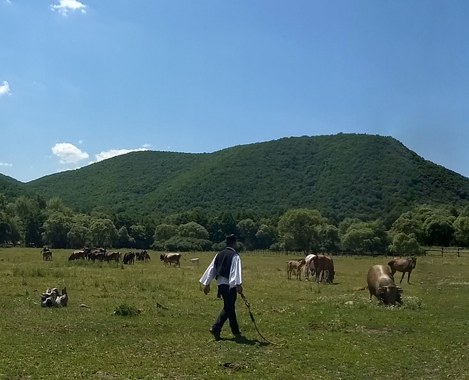 panorama2.jpg