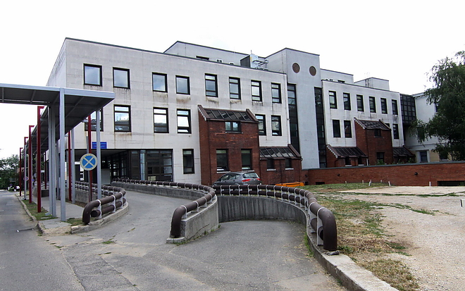 szuleszet_koltozes_150714ml_14.jpg