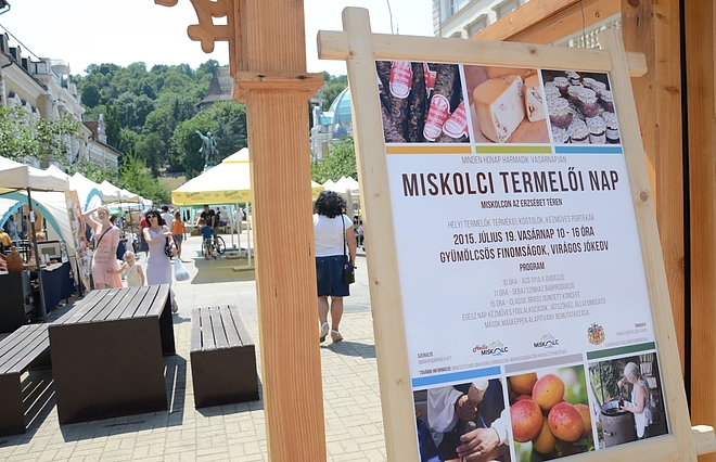 termeloi_nap_150719_fkcs_1.jpg