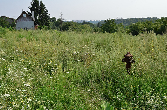 ellenorzes_vargahegy_150813_vcs_06.jpg