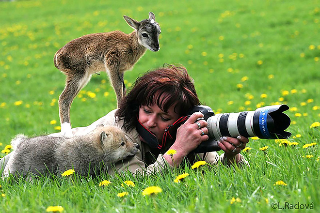 fotosallat.jpg fotosallat.jpg