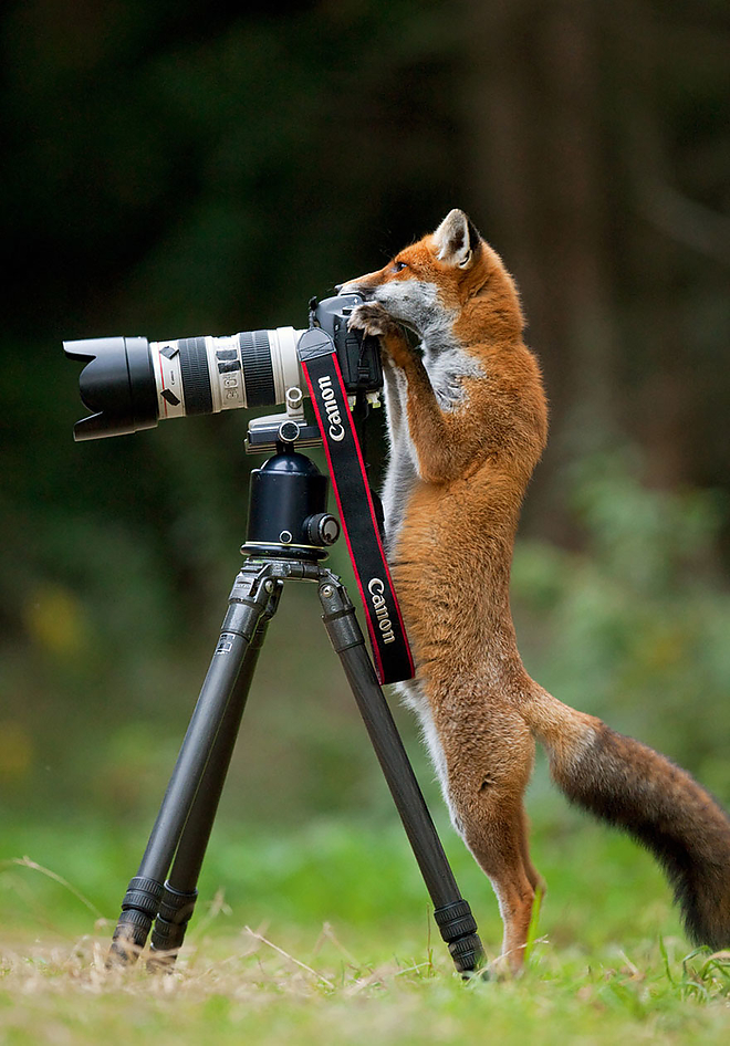 fotosallat10.jpg fotosallat10.jpg