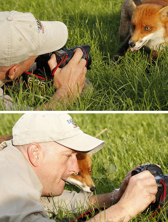 fotosallat7.jpg fotosallat7.jpg
