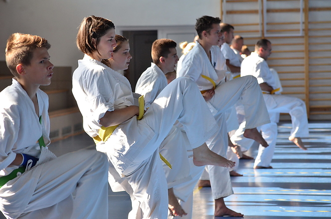 karate_tabor_150803_vcs_12.jpg karate_tabor_150803_vcs_12.jpg