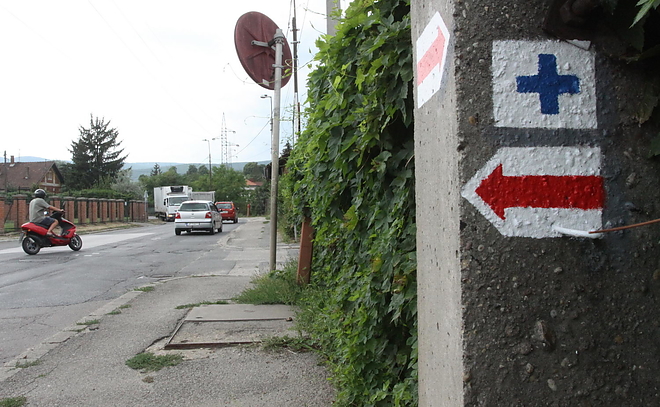 kohasz_jelzes_150805ml.jpg