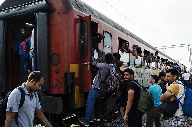 migrants-try-to-climb-onto-a-train-heading-to-the-border-with-serbia.jpg