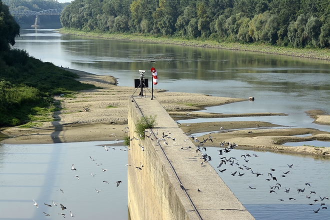 tisza.jpg
