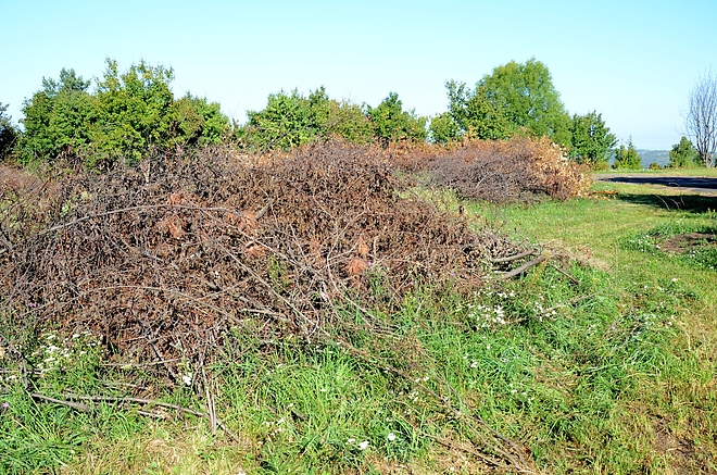 avas_tisztitas_150922_fkcs_9.jpg avas_tisztitas_150922_fkcs_9.jpg
