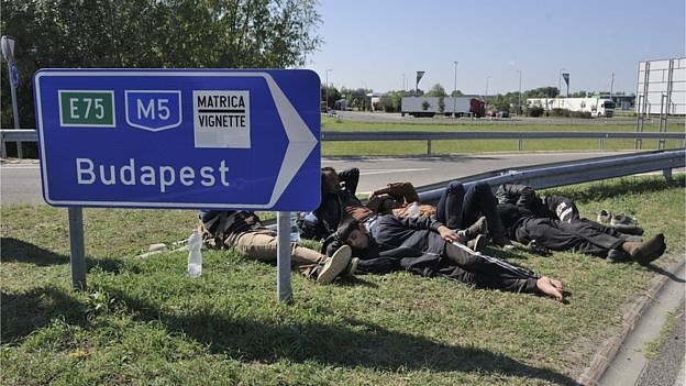 migr_hungary.jpg migr_hungary.jpg