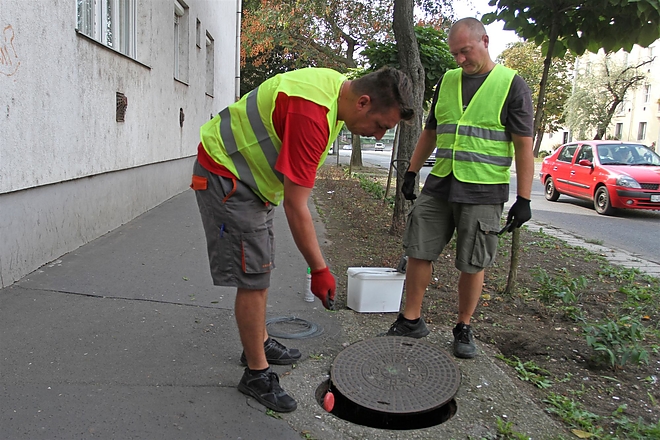 patkanyirtas_150915_ja_13.jpg