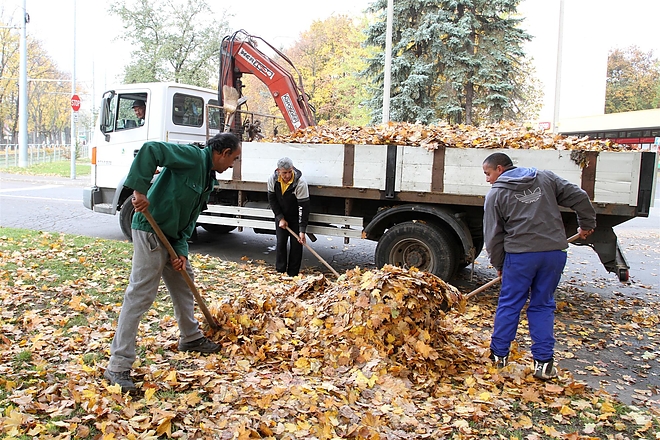 avarszedes_151029_ja.jpg avarszedes_151029_ja.jpg