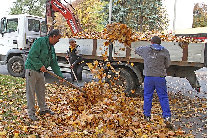 avarszedes_151029_ja_3.jpg avarszedes_151029_ja_3.jpg