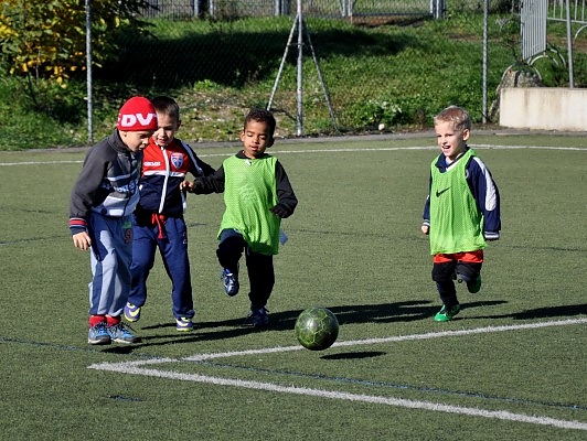 dvtk_toborzas_151027_3.jpg