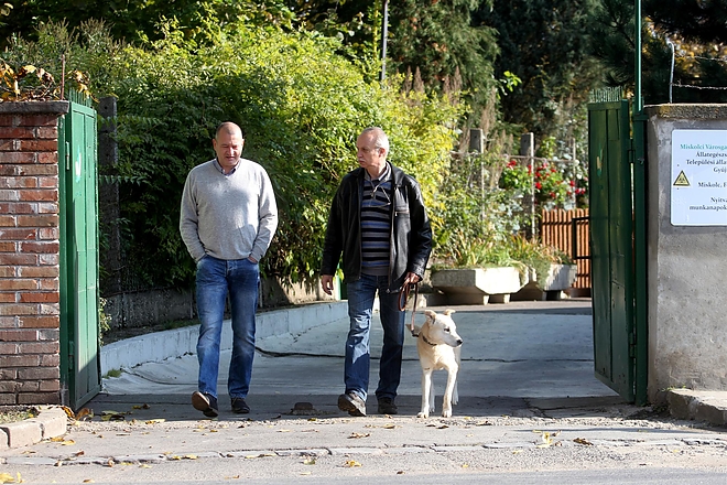 kutyaseta_allateu_telep_151024_ja_16.jpg