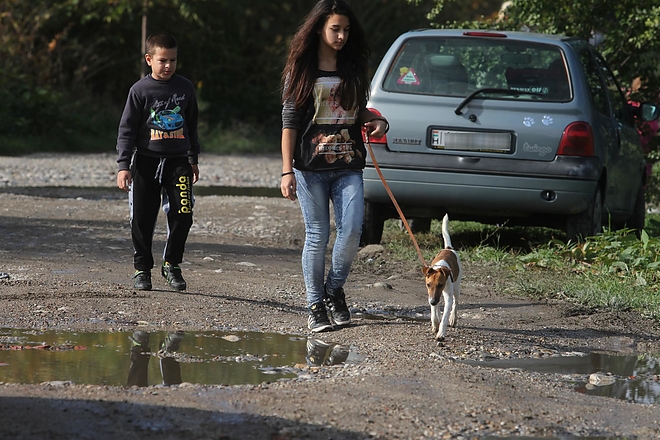 kutyaseta_allateu_telep_151024_ja_22.jpg