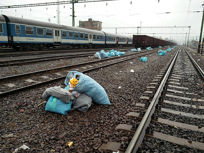 migr12.jpg